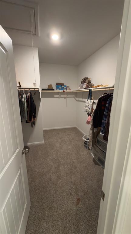 Building Photo - 2512 Hackamore Dr