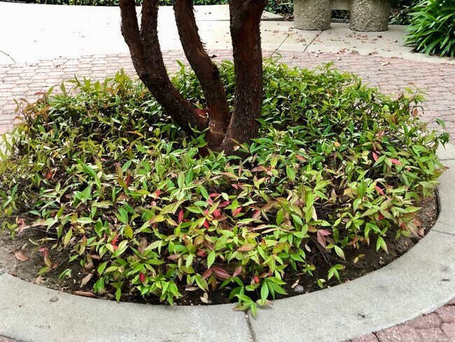 Building Photo - Ideal Location. .. Walk to Bart, Costco, S...