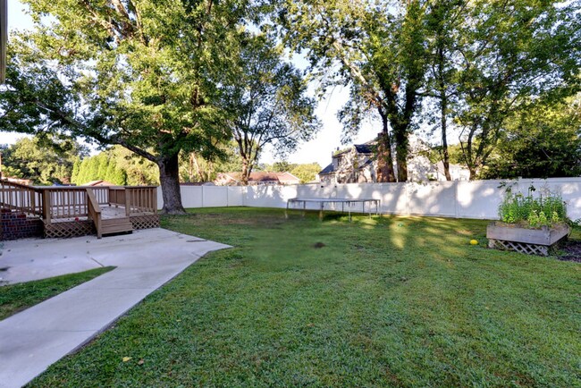 Building Photo - Updated, Spacious, Large Backyard in Newpo...