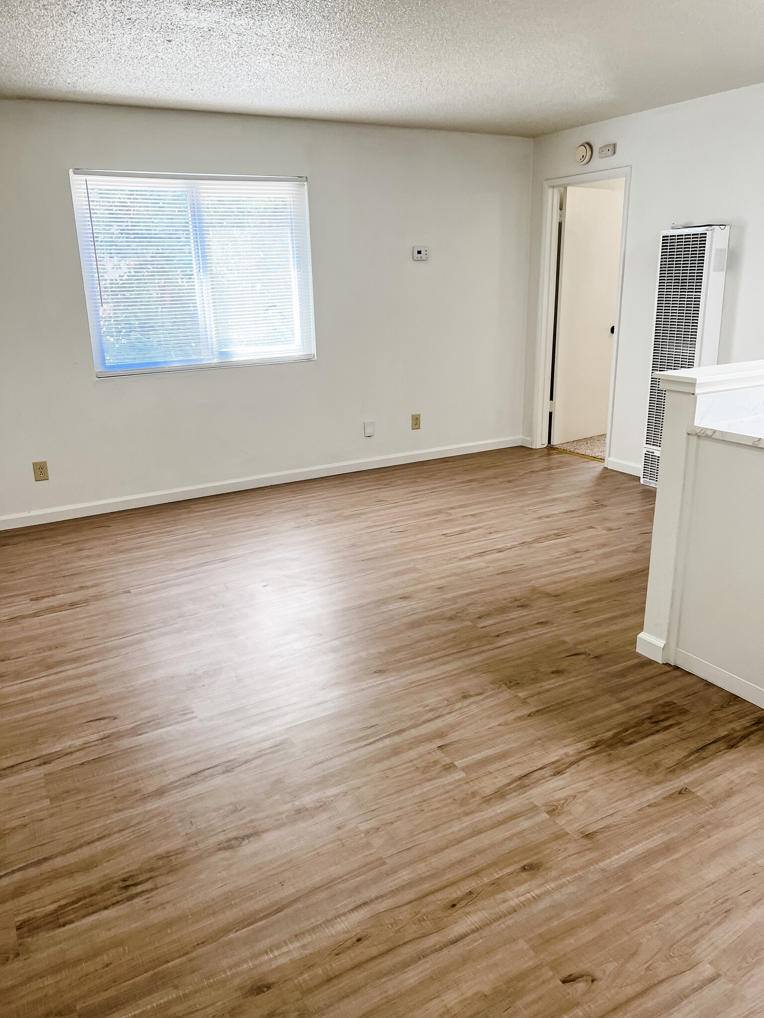Livingroom - 1351 Arcadian Ave