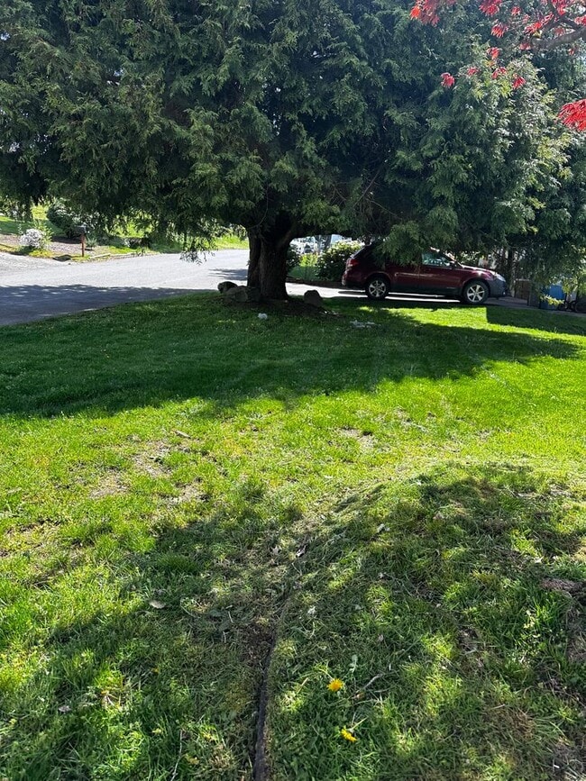 Building Photo - Ready to Move in Refreshed Ramber!