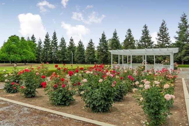 Building Photo - 4 Bedroom North Clovis Ranch on 3+ Acres