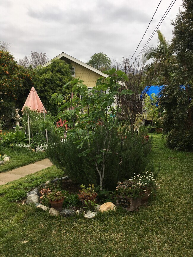 Building Photo - 318 E Colorado Blvd