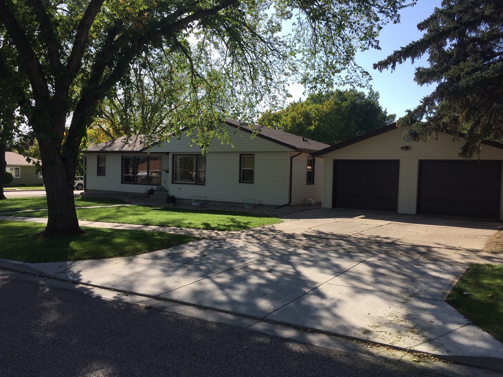 Mature Trees - Front Yard - 1504 N 19th st