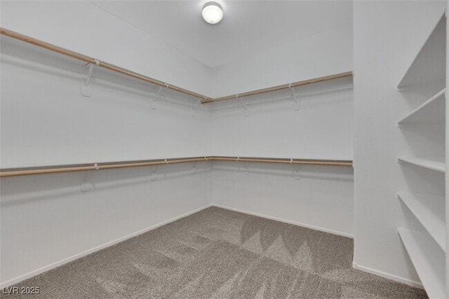 Building Photo - 1123 Bobby Basin Ave