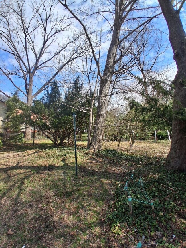 Building Photo - Quiet Responsible Household second floor bedroom for rent