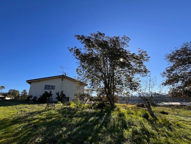 Building Photo - Spectacular Retro Home in a Rural Setting with Views and Space