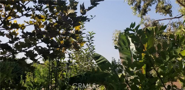 Building Photo - 2638 Mangrove Way