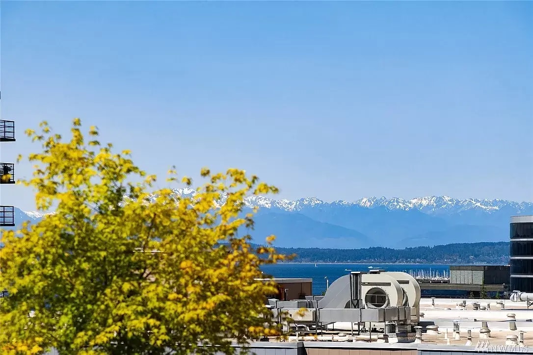 Elliott Bay and Olympics from kitchen deck - 2721 1st Ave