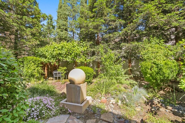 Building Photo - 3 Bedroom in Mace Ranch
