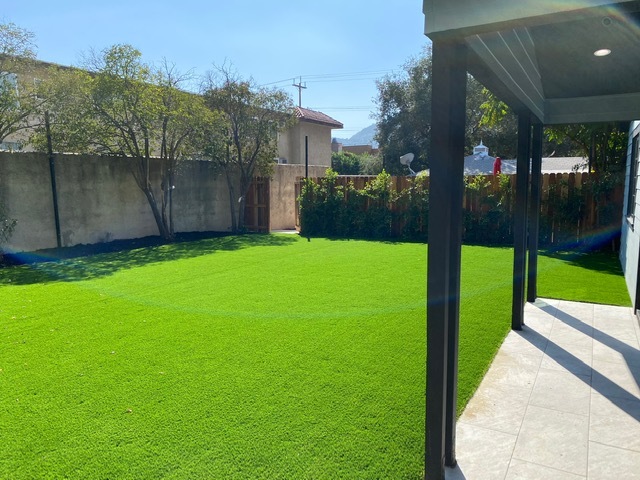 Great Lawn at Front Yard - 2823 Hermosa Ave