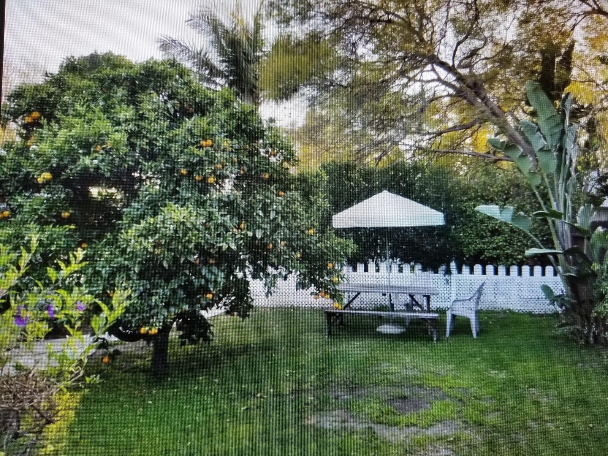 Private back yard. Small pets ok. - 1914 Granville Ave