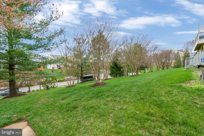 Building Photo - 6340 Walking Ln