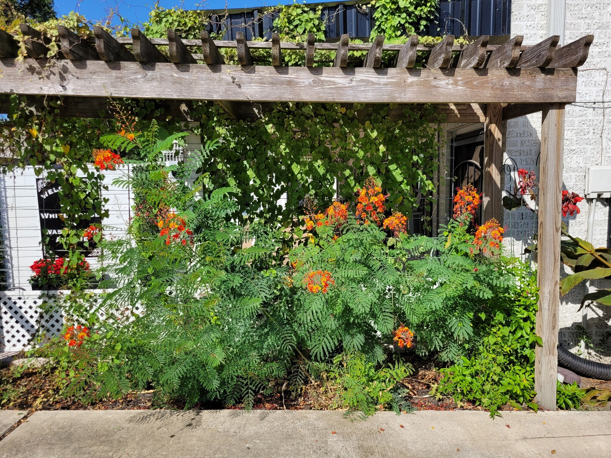 Building Photo - 1308 E Washington Ave