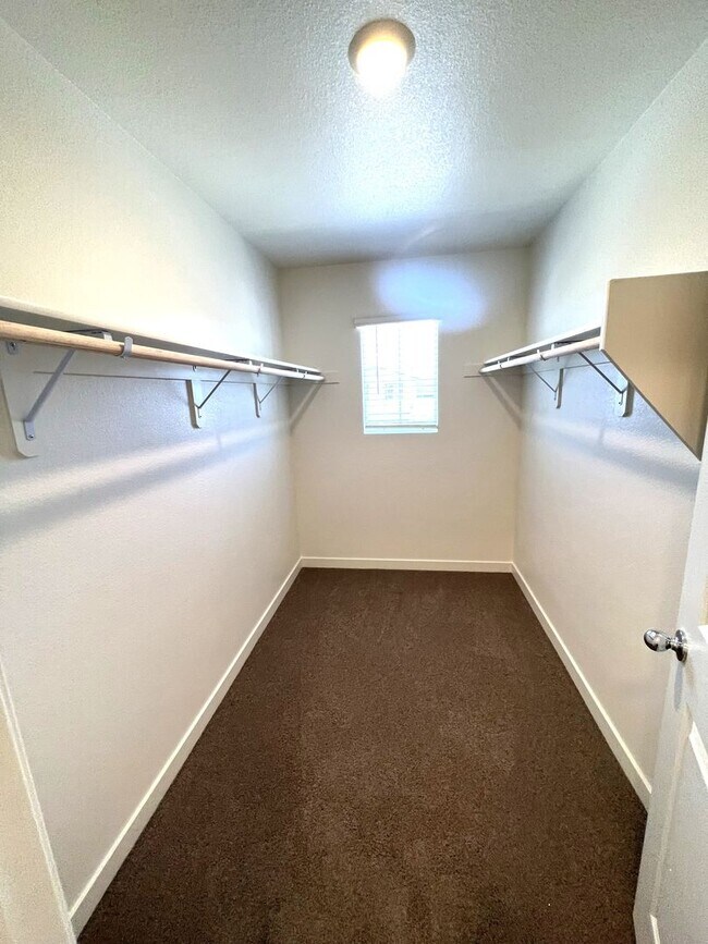 Building Photo - 443 Antares St