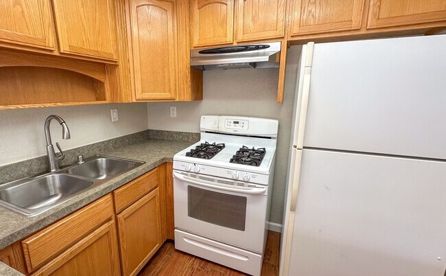 Building Photo - 861 Mola Vista Way
