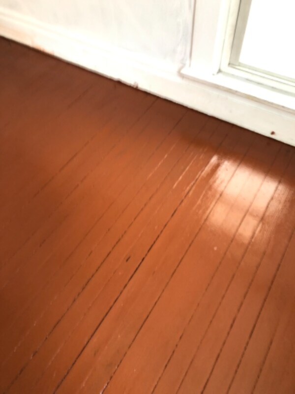 144 Eller Ave 144 Eller Ave Buffalo NY 14211 Apartment Finder