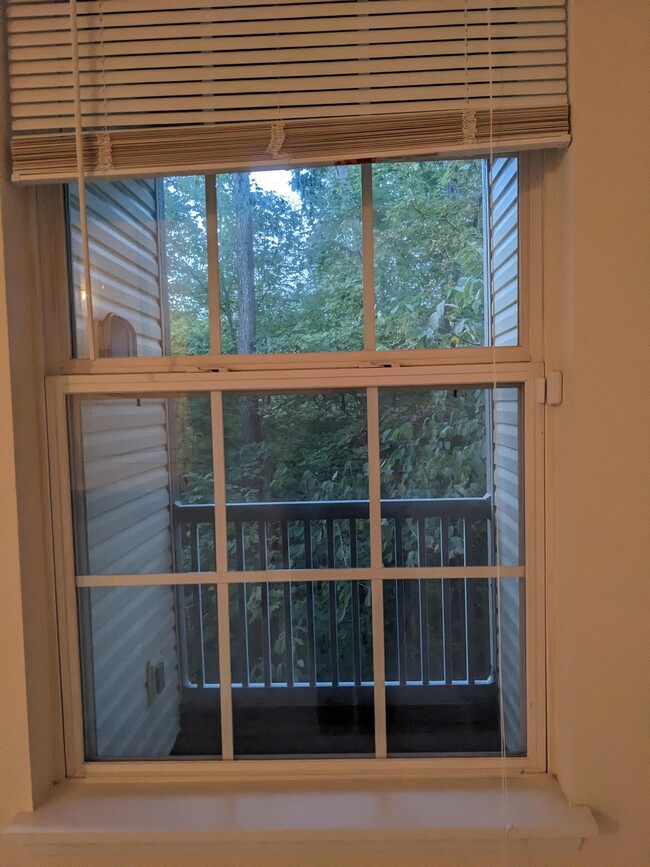 View of screened-in porch from living room - 3881 E Barrington Dr