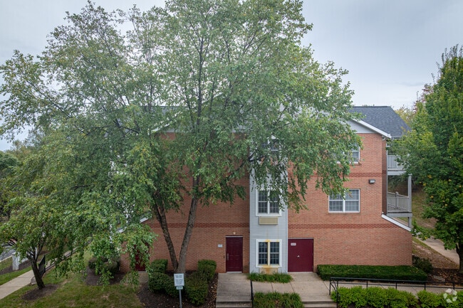 Building Photo - Salony House