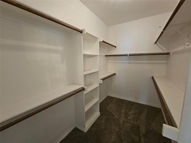 Building Photo - 305 Cold Mountain Trail