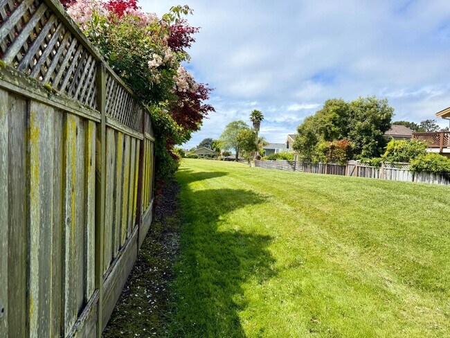 Building Photo - 213 Vía Lantana