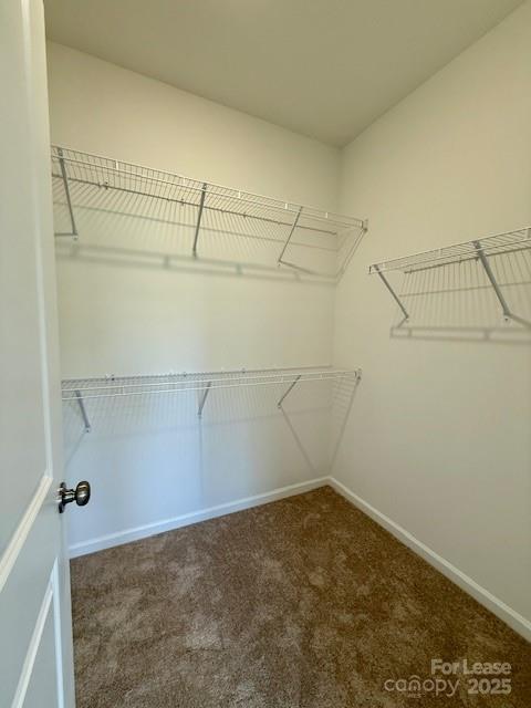 Building Photo - 5011 Westmead Ln