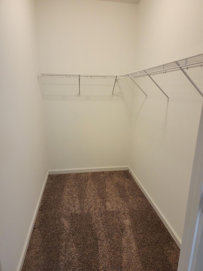 Building Photo - 4016 Pensacola Way