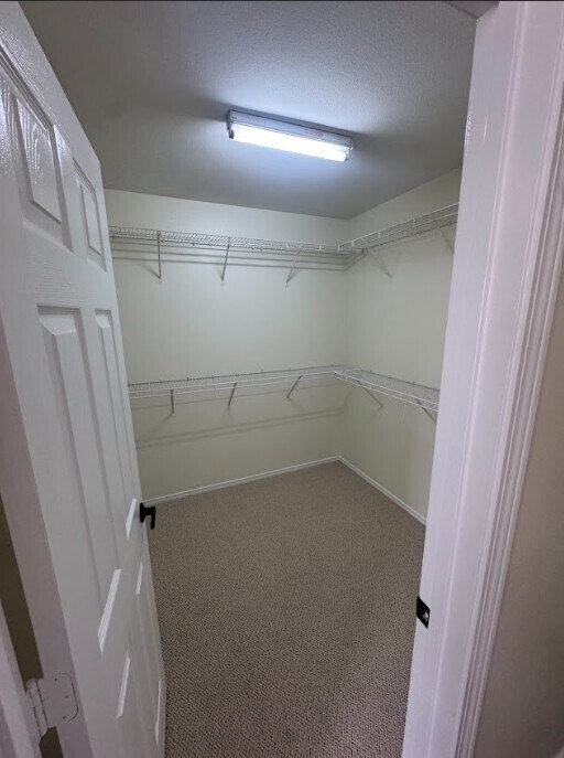 Building Photo - Spacious 3200+ sq. ft. home with large kit...