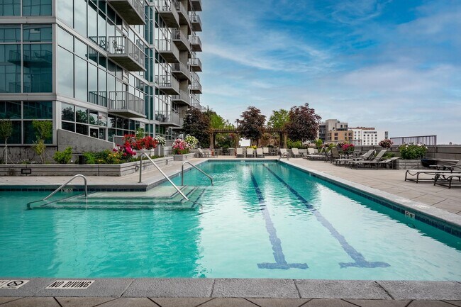 Building Photo - Glass House 1 Bed 1 Bath High Rise Condo w/ Mountain & City Views!!