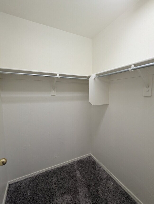 Building Photo - Newly Remodeled Rancho Sahuarita Rental!