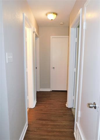 Building Photo - 443 Sweetbriar Dr