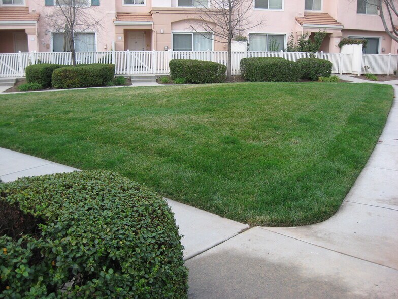 Common Grass area just outside in the Front. - 6999 Rodling Dr