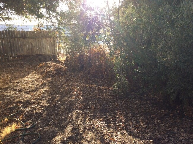 Building Photo - Cute Downtown House!