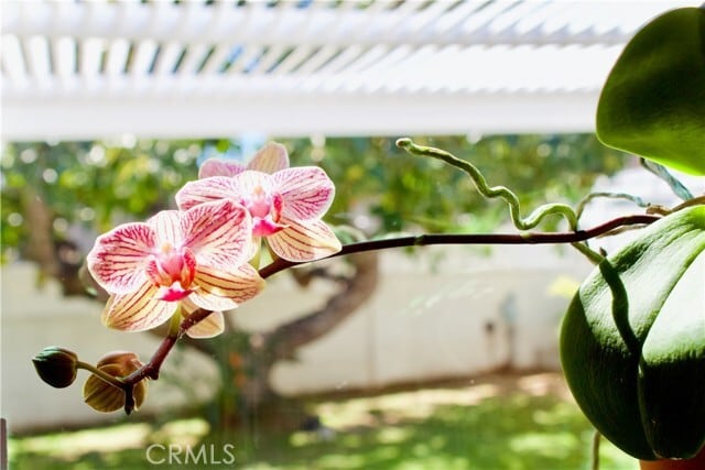 Building Photo - 8727 Glider Ave