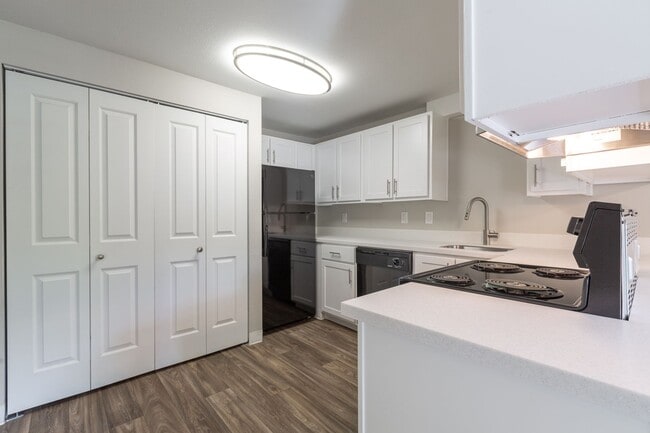 Building Photo - Spacious Newly Renovated Two Bedroom One Bath!