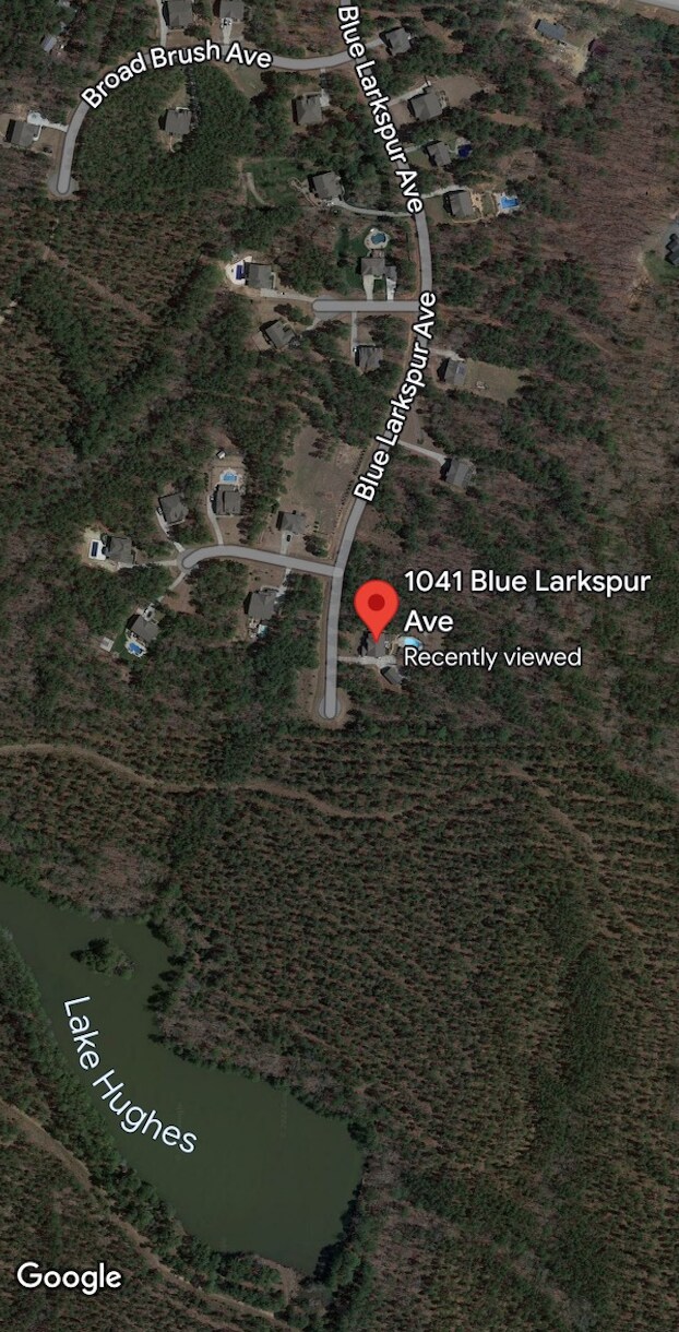 Building Photo - 1041 Blue Larkspur Ave