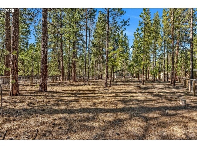 Building Photo - Charming Historic 2 Bed Home + Bonus Room ...
