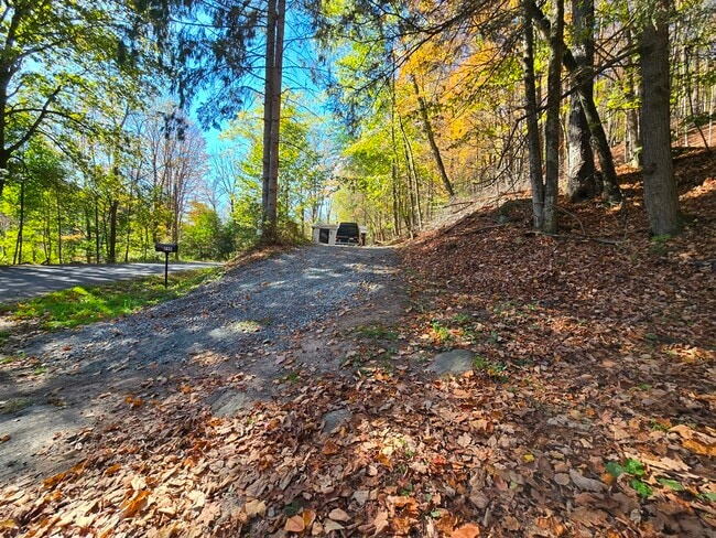 Building Photo - 286 Benton Hollow Rd