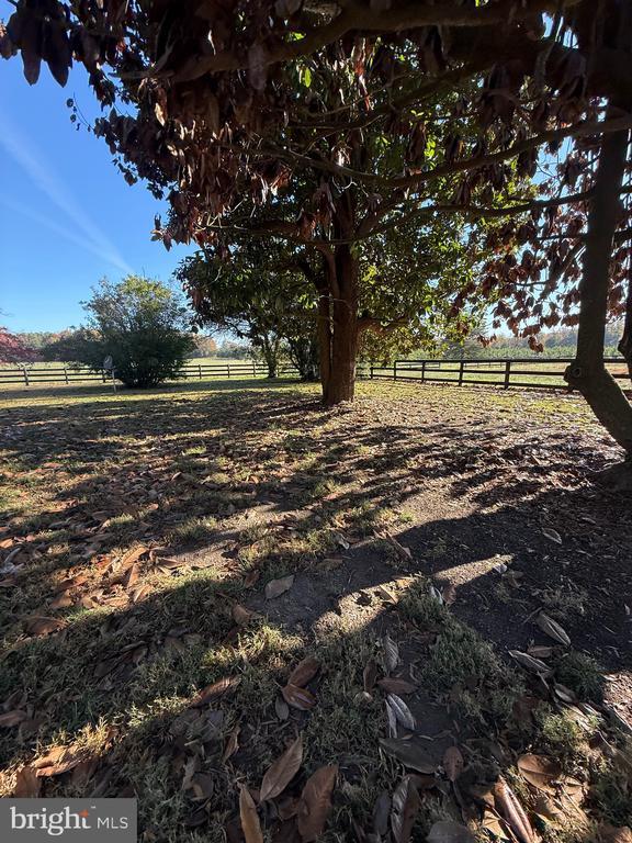 Building Photo - 12441 Ambassador Ln