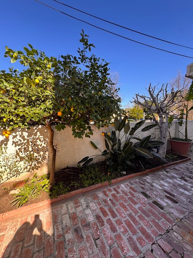 Building Photo - 5183 Topanga Canyon Blvd