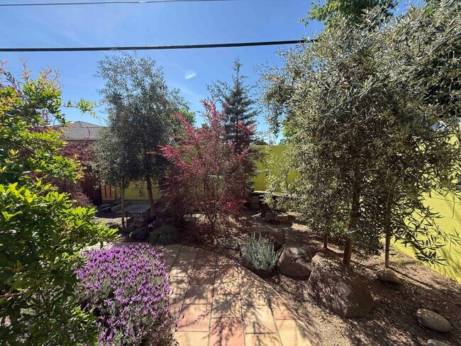 Building Photo - Charming Land Park 2 Bedroom