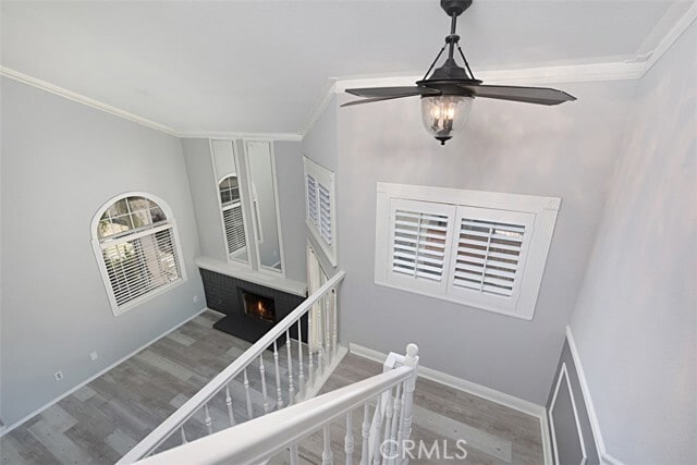 Building Photo - 41495 Avenida De La Reina