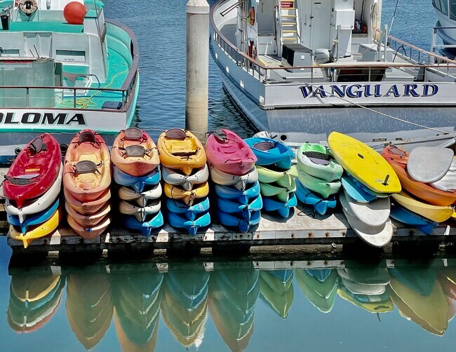 Rent a kayak, paddle board, or Jet ski - 121 Hollywood Ave