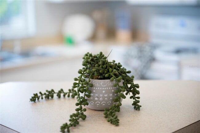 Building Photo - 2960 Kokomo Loop