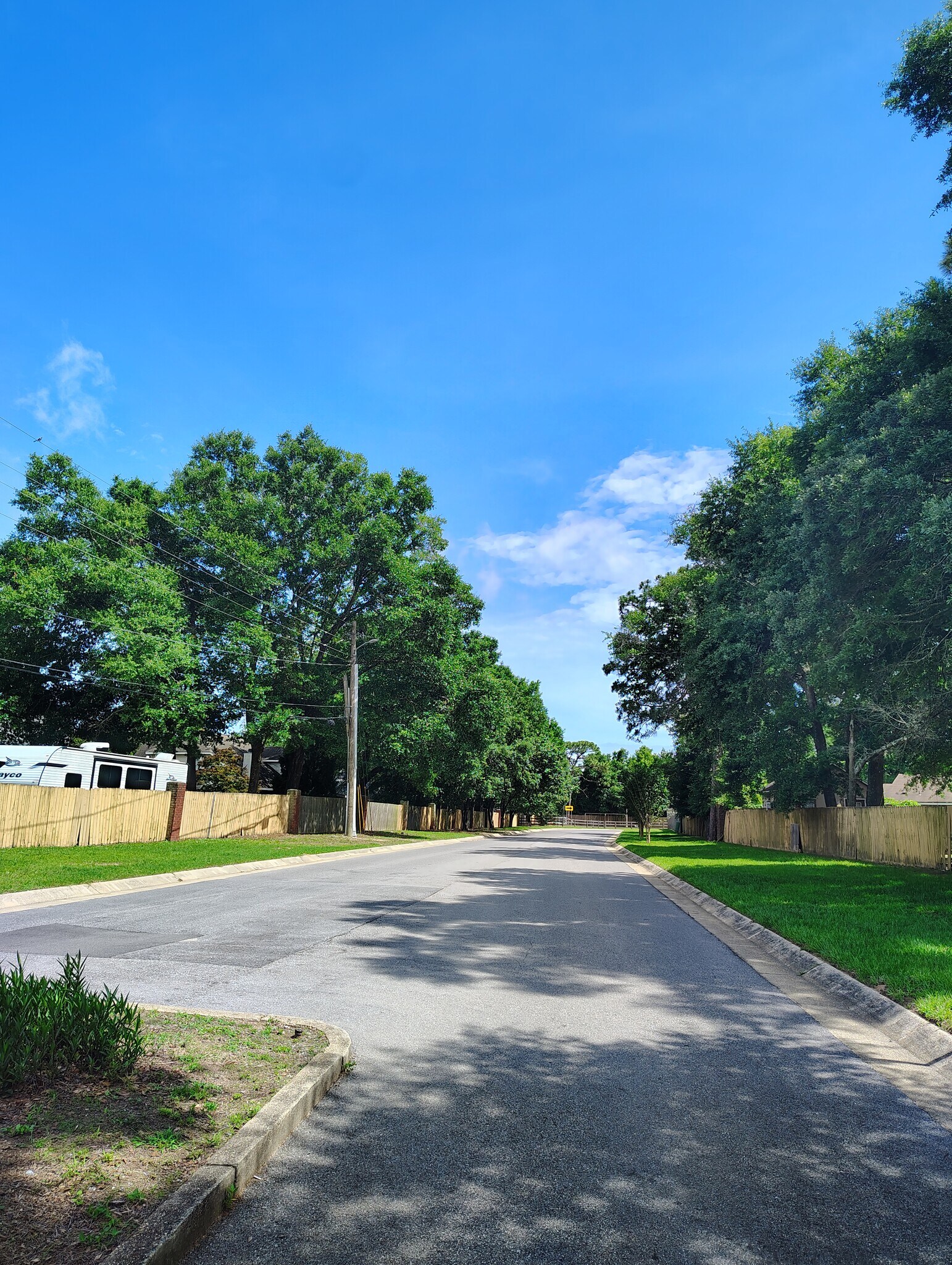 Building Photo - 217 Wildflower Ln