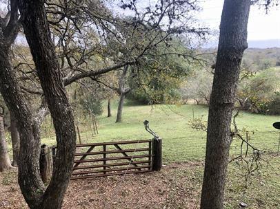 Building Photo - 4553 Seawillow Rd