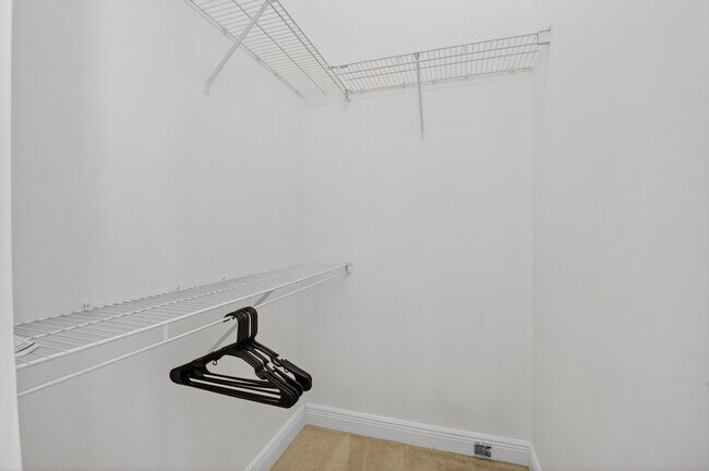 Building Photo - 2515 Venetian Ct