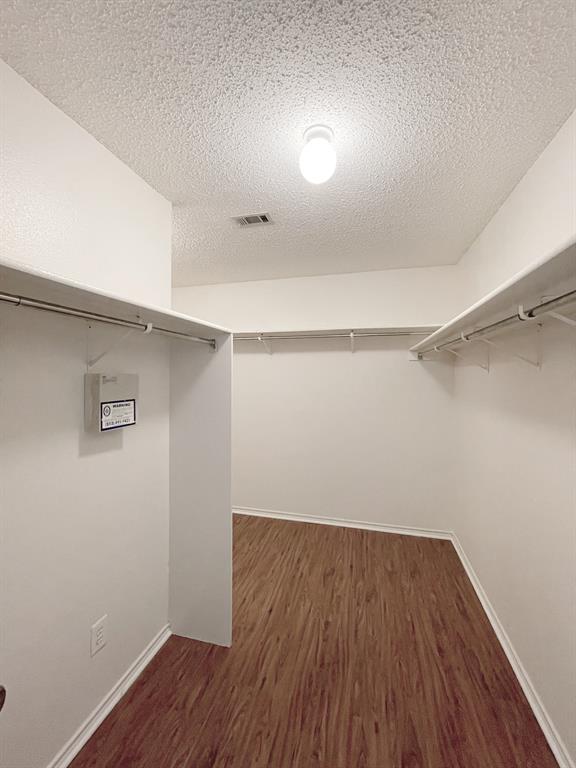 Building Photo - 2812 High Point Cove