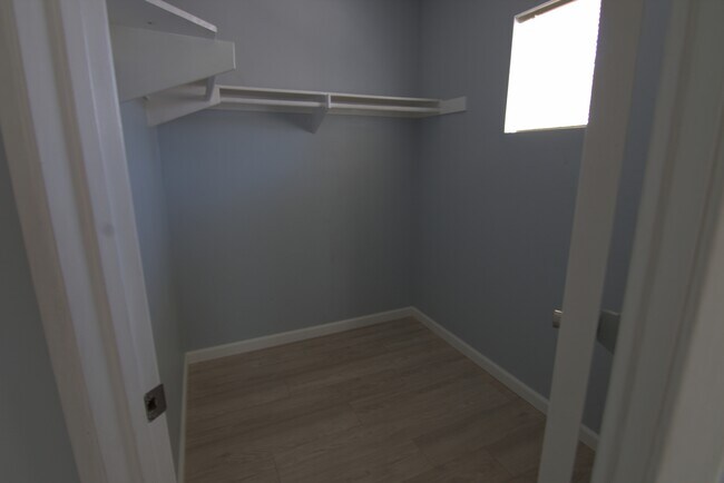 Building Photo - 842 Caminito Estrella
