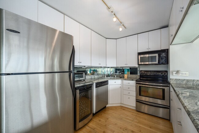 Building Photo - 1255 N Sandburg Terrace